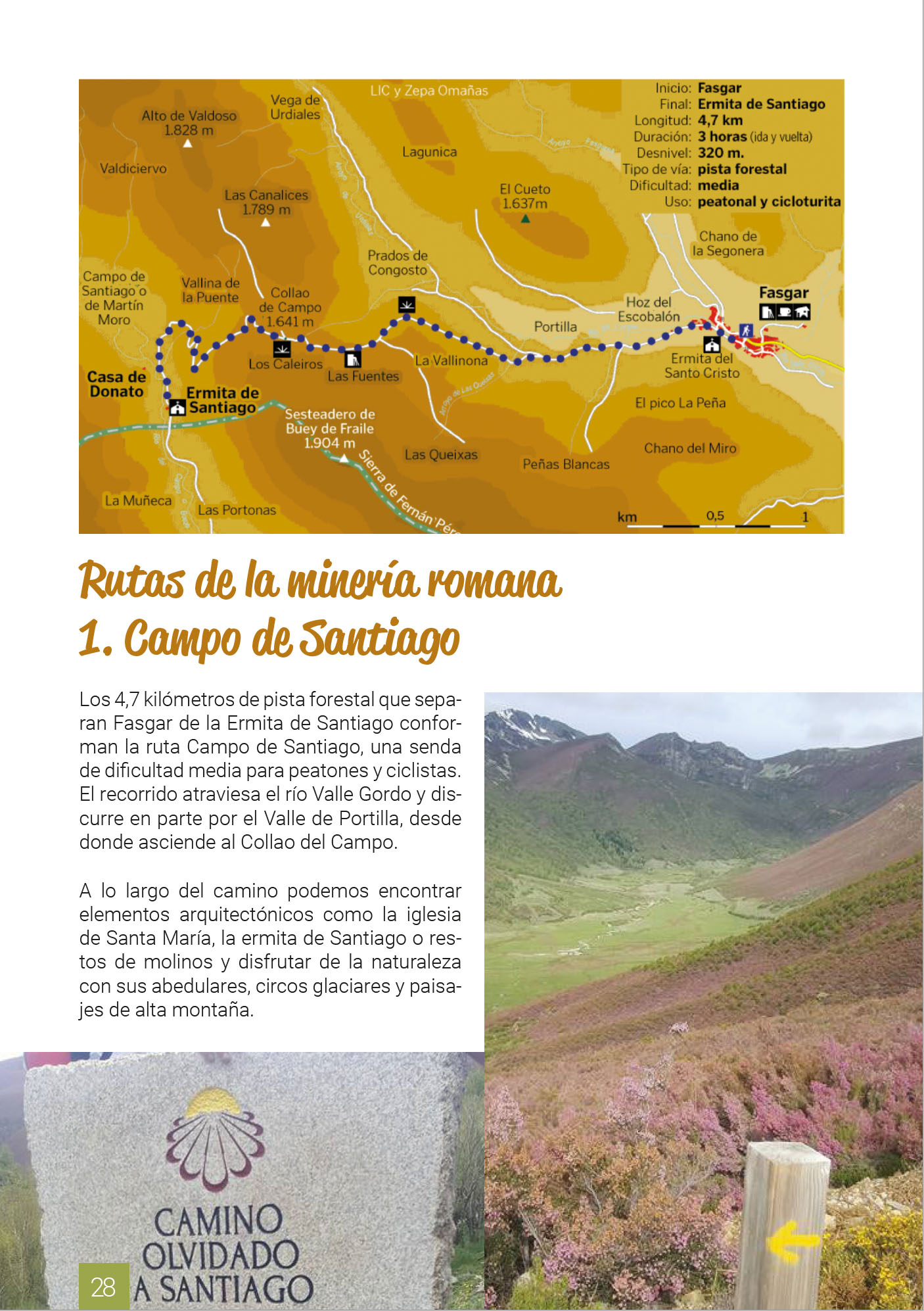 Páginas interiores6