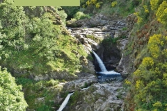 Páginas interiores4