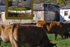 Páginas interiores5